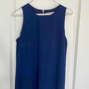 Naked Zebra Navy Shift Dress